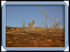 photo augrabies falls chute eau afrique du sud