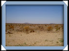 paysage Botswana
