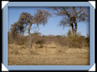 photo paysage route ville afrique du sud