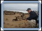 Les otaries (sea lion) du Cap Cross en Namibie