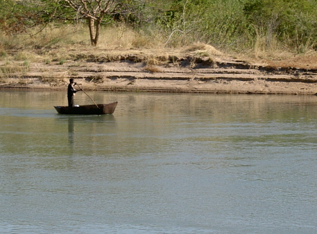 Bark on the kunene river