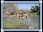 Epupa falls chute eau Namibie