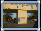 Entre au parc par Namutoni.( etosha )