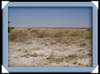 etosha parc Namibie