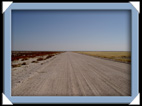 etosha parc Namibie