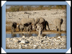 etosha parc Namibie