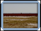 etosha parc Namibie