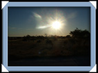 etosha parc Namibie