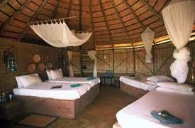 Umlani Bushcamp Lodge 