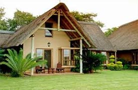 Buckler's Africa B&B