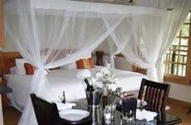 Beetleloop Guest House Nelspruit