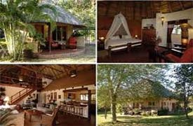 Sefapane Lodge  