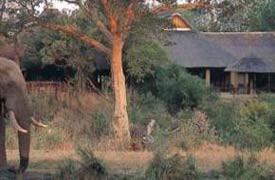 Sabi Sabi Game Lodge