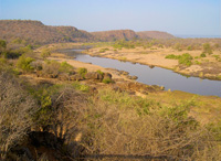 kruger park