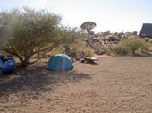 quivertree forest camp