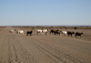 route 98 entre tses et berseba en namibie