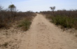 piste village san a tsumkwe en namibie