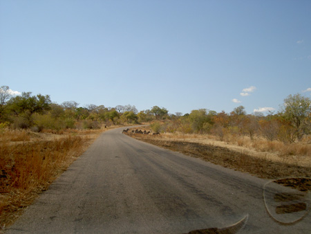 route Kazungula - Victoria Falls