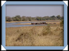 photos Kruger Afrique du sud