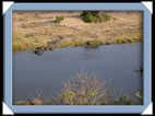 photos Kruger Afrique du sud