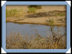 photos Kruger Afrique du sud