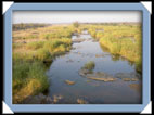 photos Kruger Afrique du sud