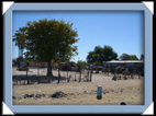 village du Botswana