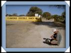 photo otjiwarongo crocodile ranch acacia park Namibie