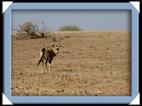 photo namibie canyon route ville paysage