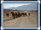 photo namibie canyon route ville paysage