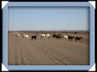 photo namibie canyon route ville paysage