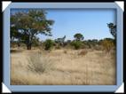 photo namibie canyon route ville paysage