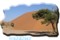 photos desert des dunes du namib