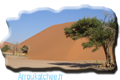 photos desert of namib