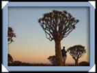 photos quivertree forest giants playground Namibie
