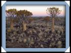 photos quivertree forest giants playground Namibie