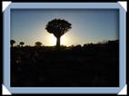 photos quivertree forest giants playground Namibie