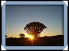 photos quivertree forest giants playground Namibie