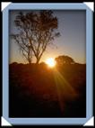 photos quivertree forest giants playground Namibie