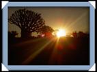 photos quivertree forest giants playground Namibie