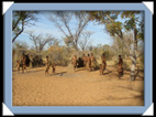 le peuple san, les bushmens de Namibie