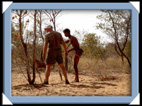 le peuple san, les bushmen de Namibie