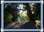 photo shakawe drotsky's cabins okavango botswana