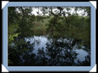 photo shakawe drotsky's cabins okavango botswana