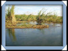 photo shakawe drotsky's cabins okavango botswana