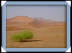 la plus haute dune de Namibie