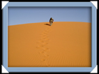 photos desert du Namib