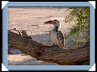 Organ pipe, foret petrifie, burnt mountain, twyfelfontein en Namibie