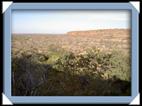 photo Bush Camp Waterberg okakarara Namibie