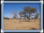 photo Bush Camp Waterberg okakarara Namibie